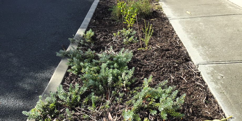 Woodchip Gardens