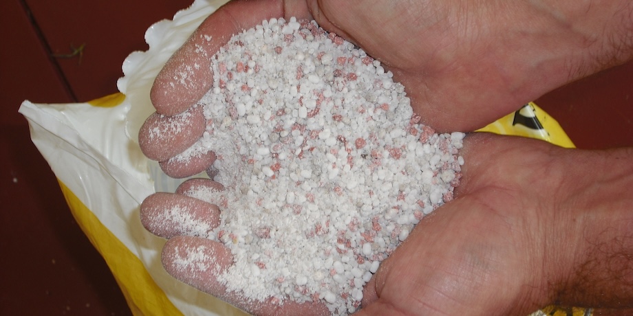 Lawn Fertilisers Can Stain Paths and Paving