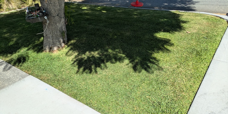 Edging Lawns Edging Lawns