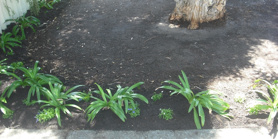 Best Time To Plant A New Lawn Best Time To Plant A New Lawn