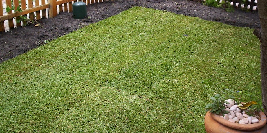 Newly Laid Roll On Lawn Newly Laid Roll On Lawn
