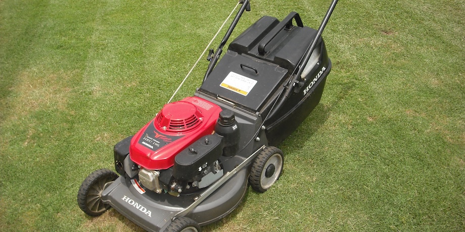 Regular Lawn Mowing