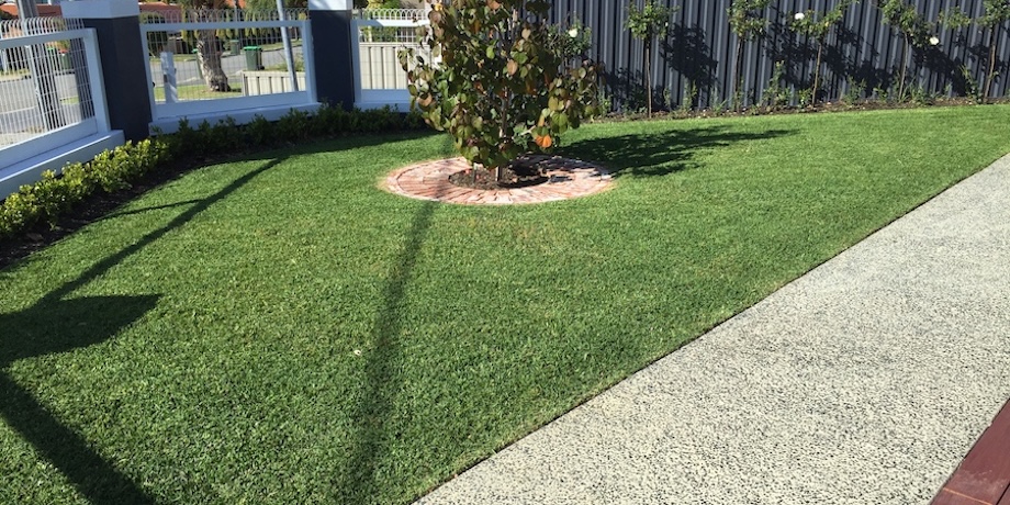 Top Lawn Care Tips