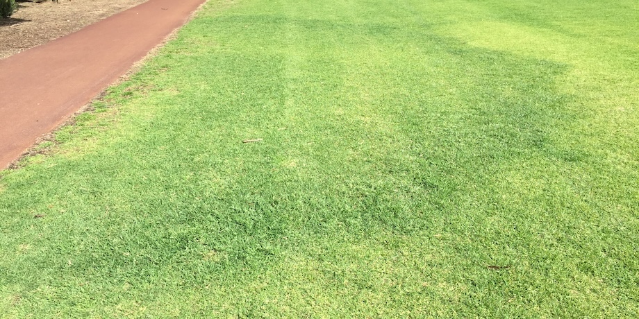 Fairy Rings Fairy Rings