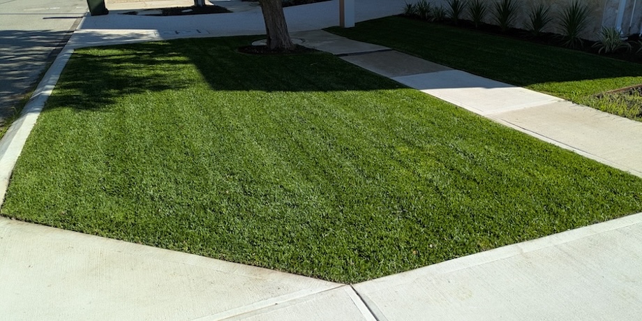 Methods Of Lawn Edging