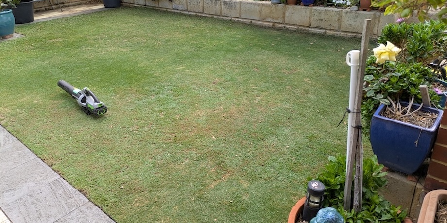 Cylinder Mowing A Couch Lawn Cylinder Mowing A Couch Lawn