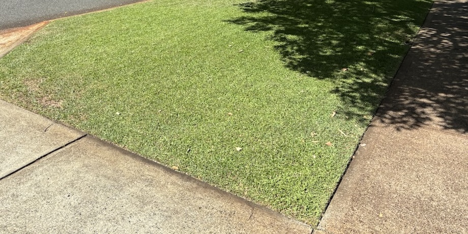 Professional Lawn Mowing Methods