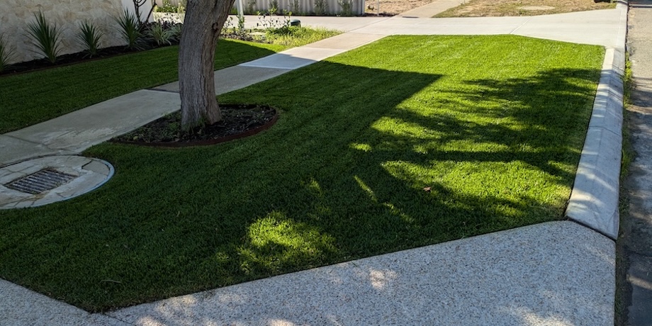 Professional Lawn Mowing Methods