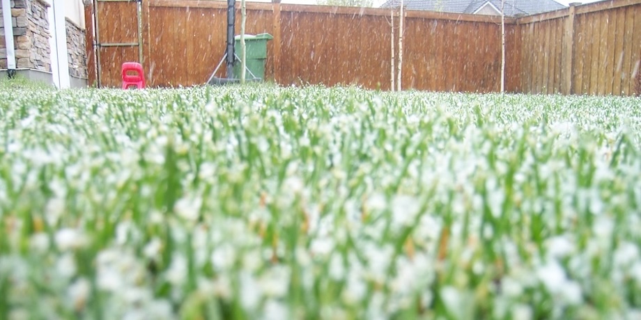 Continuing To Mow Lawns Over Winter