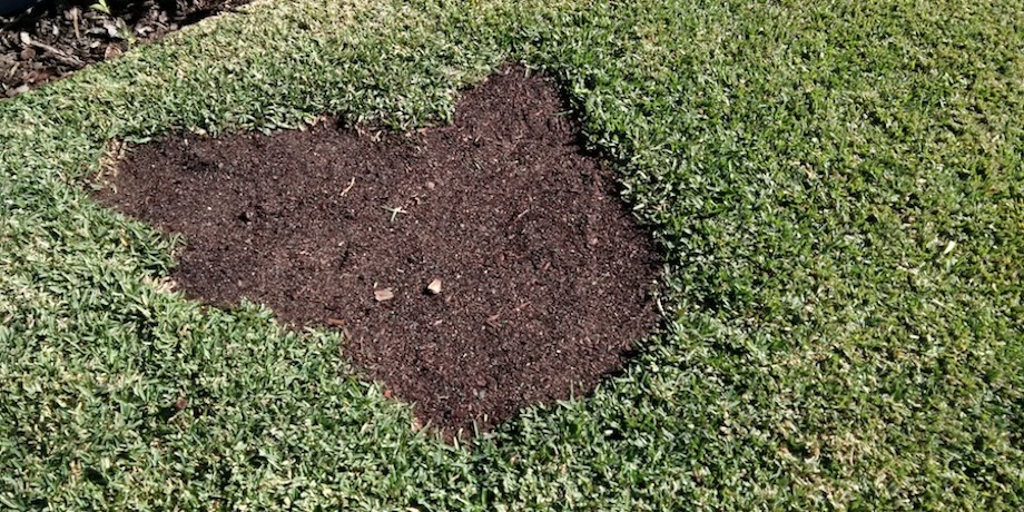 Repairing Bare Patches In Lawns