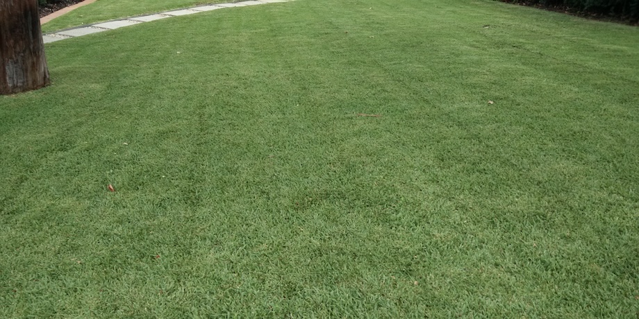 Mulch Mowing Lawns