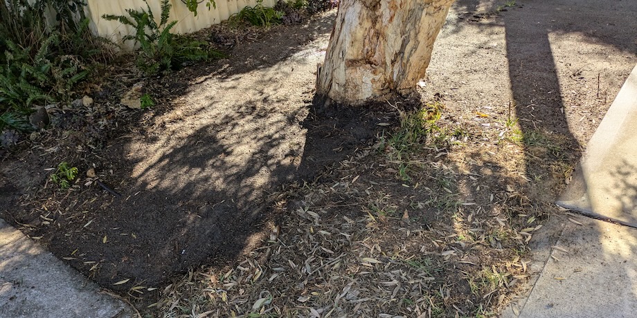 Removing Diseased Lawn Removing Diseased Lawn