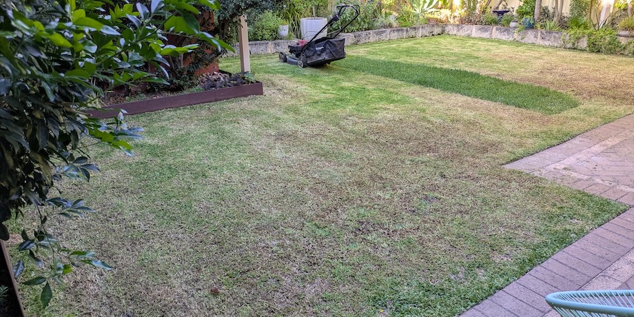 Lawn Dethatching With Lawn Mowing