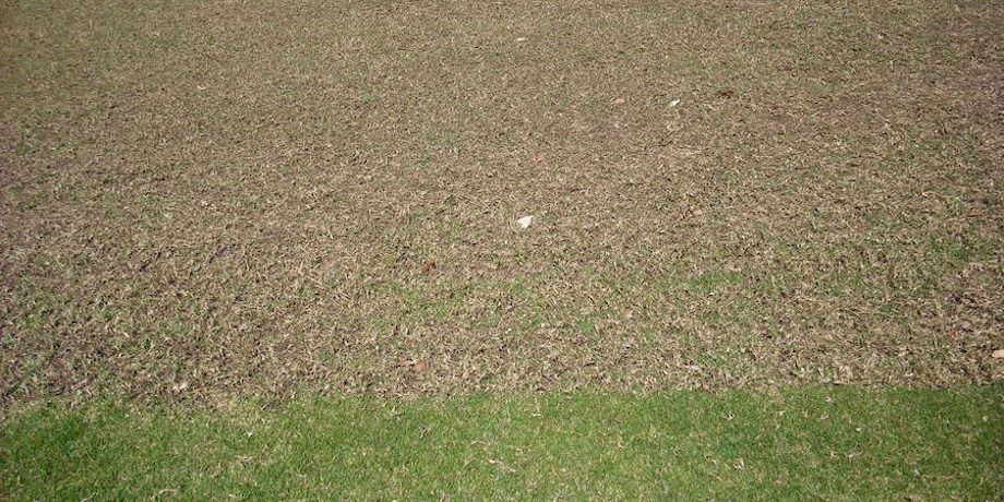 Vertimowing Lawns