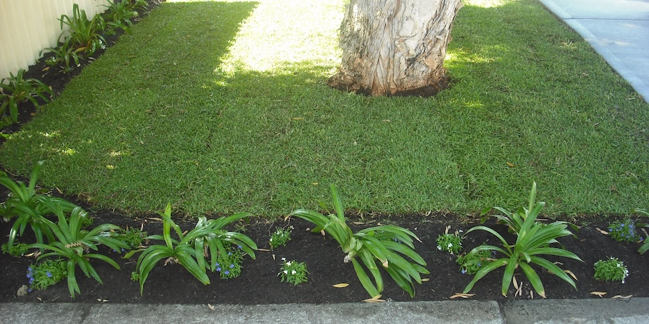 Low Cost Ways To Start A New Lawn