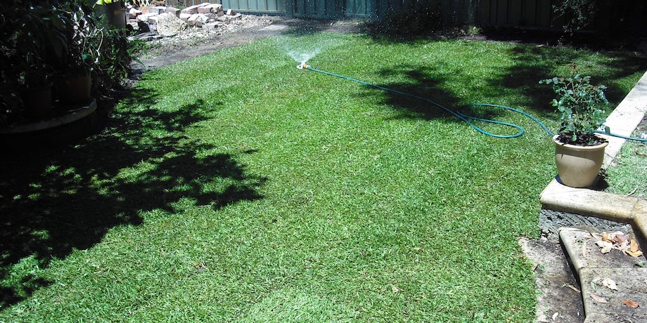 Best Time Of Day To Water Lawns