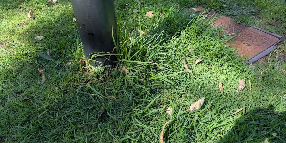 Kikuyu Overtaking A Council Park