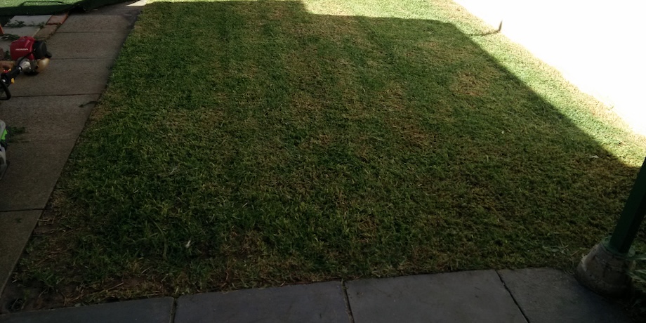 Mowing A Weedy Lawn Mowing A Weedy Lawn