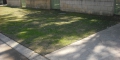 Cutting Lawns Shorter Does Not Slow Their Growth