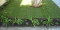 Best Times Of Year To Install A New Lawn