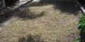 Killing An Old Lawn Before Replacing It