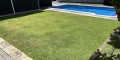 Lawn Care For Summer