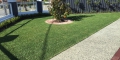 Top Seven Lawn Care Tips