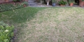 First Steps When Dealing With Lawn Disease