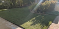 Cordless Garden Tools and Compromises