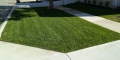 Methods Of Lawn Edging