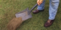 Reasons For Top Dressing Lawns