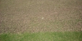 Vertimowing Lawns