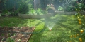How To Water Lawns Properly
