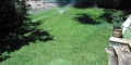 Best Time Of Day To Water Lawns