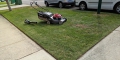 Herbicide Use And Lawn Mowing