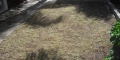 Killing Weeds Before Laying A New Lawn